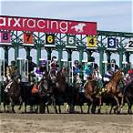 parx racing phone bet
