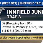 best trap to bet on greyhound racing